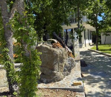 Kukes County Hotel | Panorama Helshan Hotel