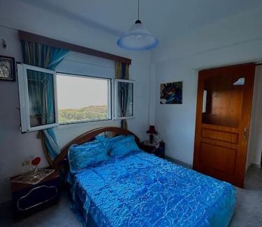Mournies Apartment | Panoramic Elia Apartment