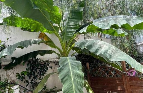 Palaio Psychiko Apartment | Peaceful flat with lovely garden