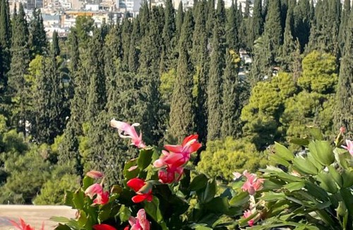 Athens Apartment | Penthouse with amazing view of Acropolis!