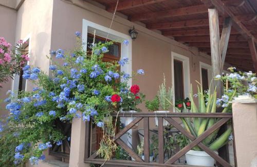 Thasos Apartment | Plumbago Apartment