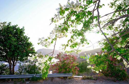 Kalymnos House | Poppy's House