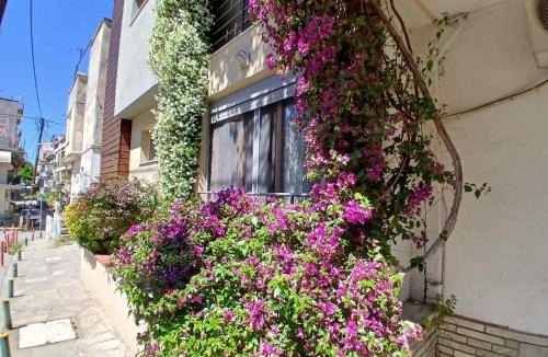 Agios Pavlos Apartment | Quiet Urban Studio with Private Backyard