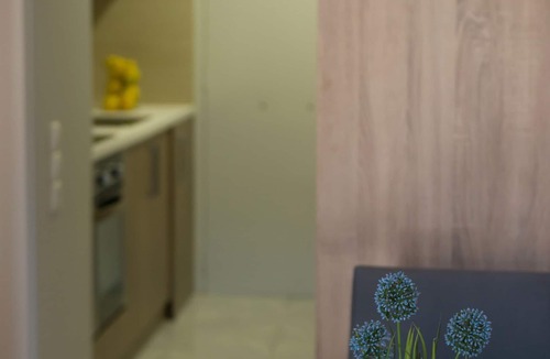 Kariotai Apartment | REGALO STUDIO KARIOTES/FLAT 2