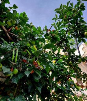 Gjirokaster Other | Relax Camping
