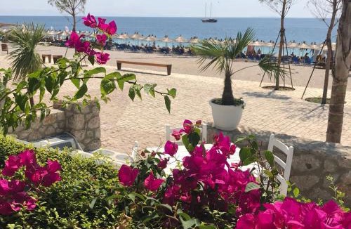 Dhermi Hotel | Royal Blue Hotel