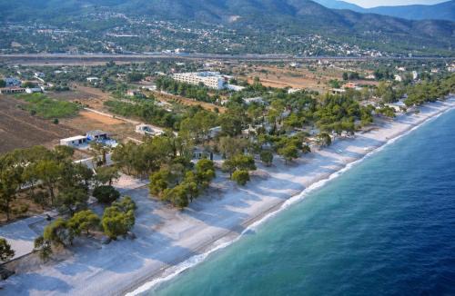Katakali Apartment | Seaside Almyra Stay with pool Agioi Theodoroi