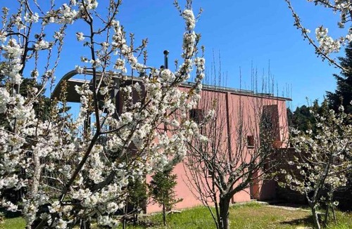 Seta House | Seta Forest House