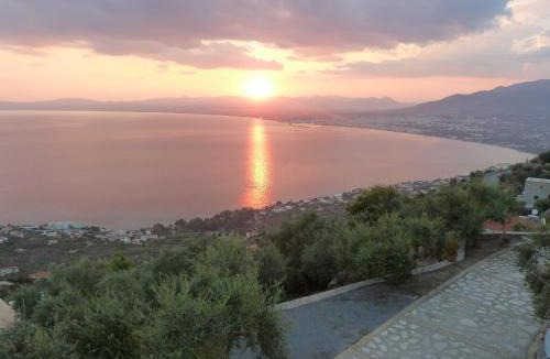 Diasella Apartment | Shiraz Villas
