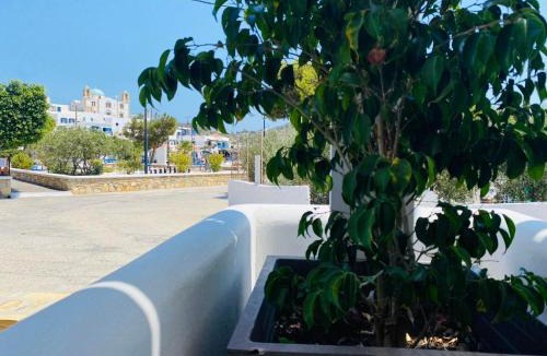 Lipsoi House | Sophia's Apartments - Lipsi Thyme