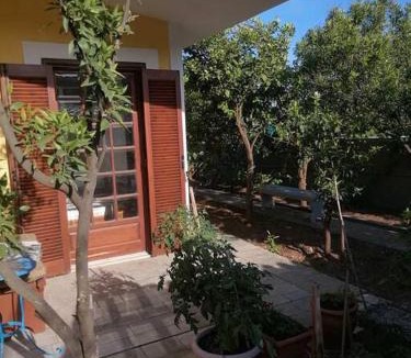 Lavreotiki Apartment | Sounio , Garden house