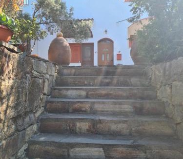 Armenistis Apartment | SPITIKARIOTIKO Ikarian Cottage
