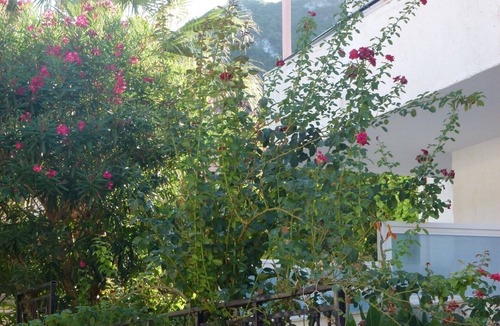 Benitses Apartment | Studio "Galini Studios 1" Near the Beach with Wi-Fi, A/C & Balcony