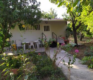 Agios Minas Apartment | The Garden in AGIA VASSA ROOM