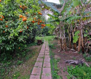 Nea Makri House | The Painter's Garden, Walk to Sea, Onsite Parking
