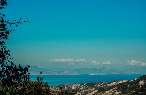 Synikia Mesi Trikalon House | Theasis suites-Ορεινή Φιλοξενία