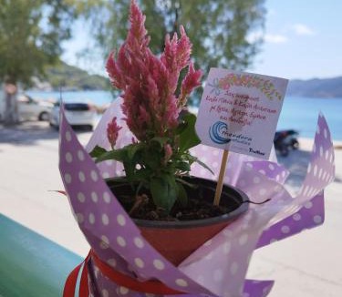 Poros Apartment | Theodora Rooms