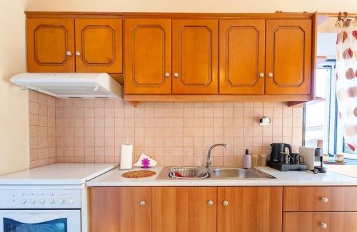 Sipiada Apartment | Vachlas Family House 1912 Balcony Nature