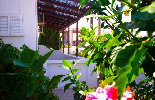Livadi Apartment | Vaso Rooms