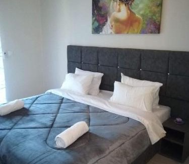 Lefkimmi Apartment | Venus Sea View Apartment