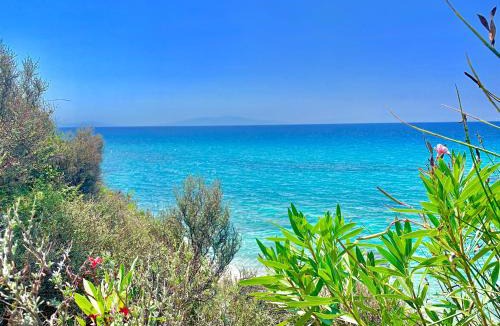 Kassandra Villa | Villa Fourka on the beach
