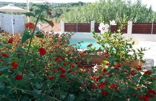 Kalyves Villa | Villa Katina with private pool near Almyrida