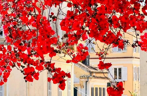 Liapades Apartment | Villa Maria 1