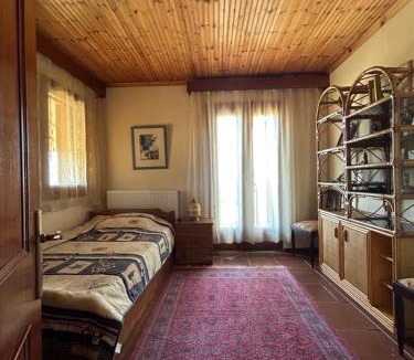 Maroneia-Sapes House | Villa Maron - Platanitis Beach