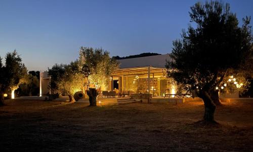 Alyfanta House | VILLA PORT OLIVIER