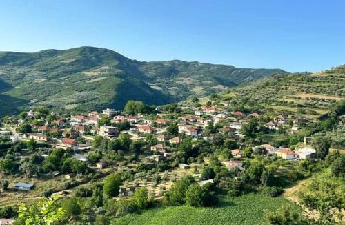 Berat House | Vojfarm