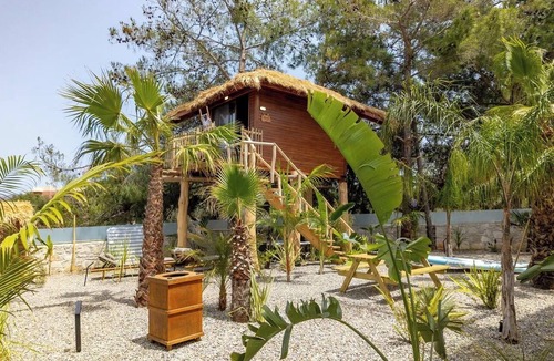 Kalathas Cabin | Zen Tree Suite with Jacuzzi | D PALM Premium Living