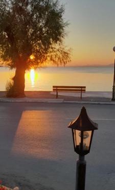 Γοργονα