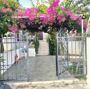 σπίτι - αγρόκτημα - Δ Γεωργά Χατζηράση οδός Χατζηράση