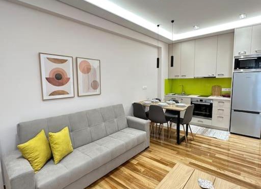 A fully renewed modern apartment in Athens