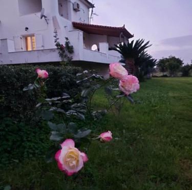 Aethera Maisonette
