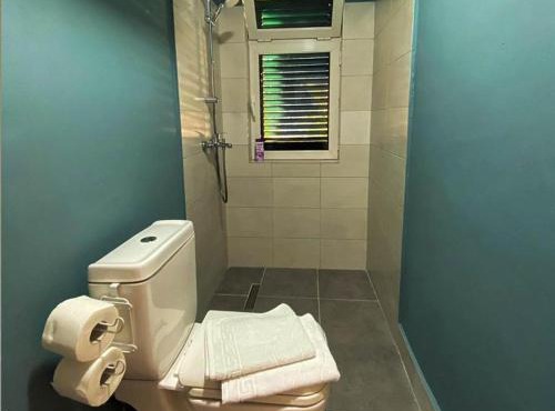 Agroturizem Hotel Vila Franceze in Koman