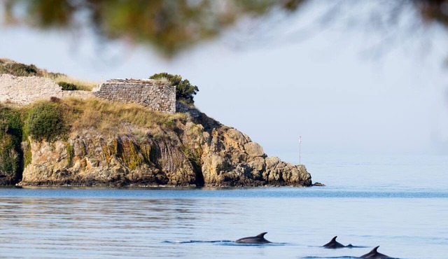 Akti Toroni Boutique Hotel in Sithonia