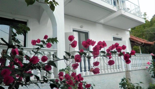 Aktipis Studios in Argassi