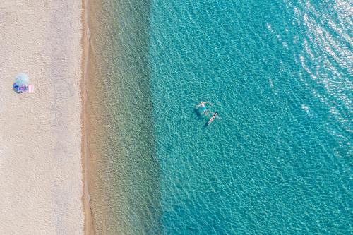 Amadeus Golden Resort in Sithonia