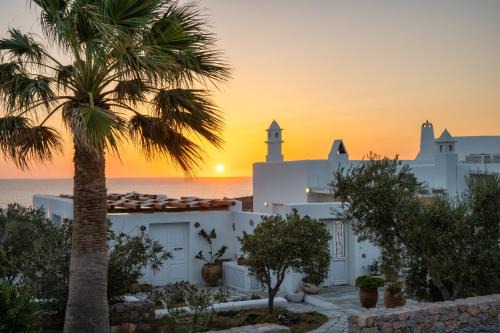 Anema Boutique Hotel & Villas Santorini