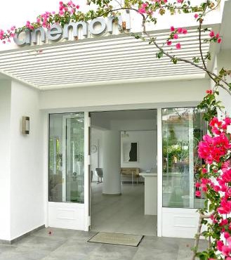 Anemoni Beach Hotel in Skiathos