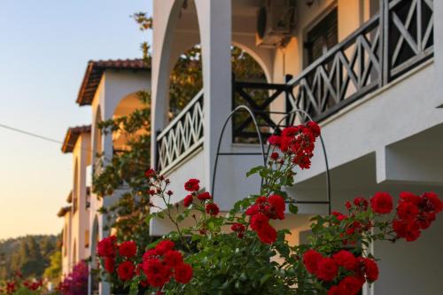 Anthema Apartments in Kalogria
