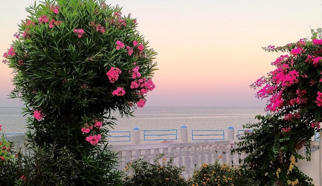 Antonios Apartments Stegna
