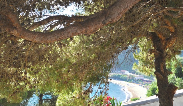 Apartments and studio with swimming pool and Sea View in Pelekas Beach, Corfu in Pelekas