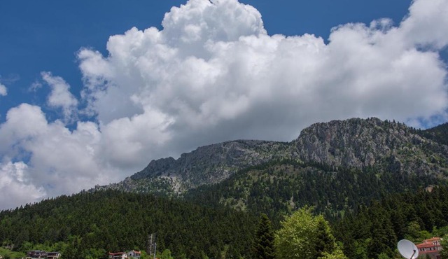 Arktos Suites in Elati Trikalon