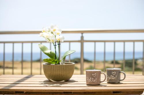Bless View Studios in Lachania