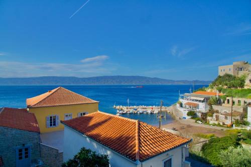 Blue Shell Hydra in Hydra