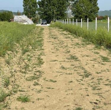 Camping Ohel in Mullini i Danit
