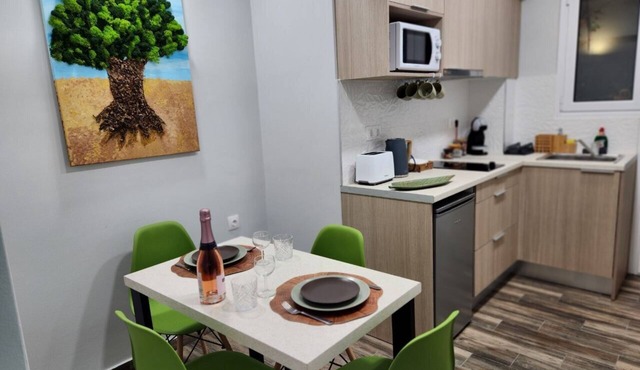 Central area of Athens, two bedroom Cozy Apartment with garden and terrace