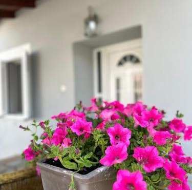 Cozy village apartment in Áyios Andréas